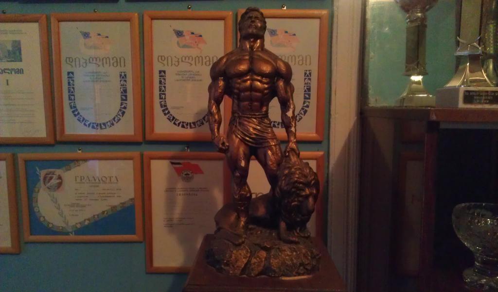 Guest House Shota Sighnaghi Rum bild